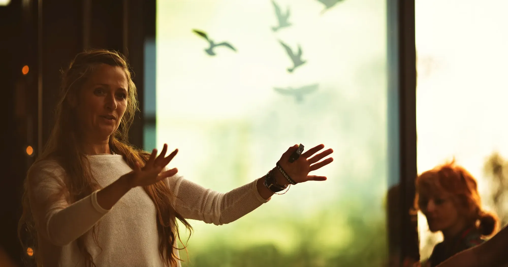 Basia speaking, hands open, golden light streaming through a window of flying birds behind her